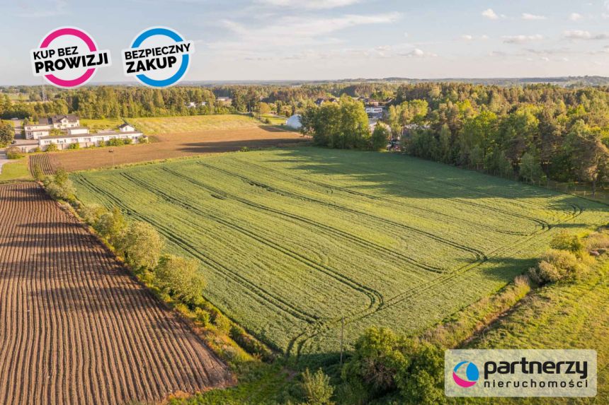 Bojano, 1 035 210 zł, 31.37 ar, przemysłowa miniaturka 8