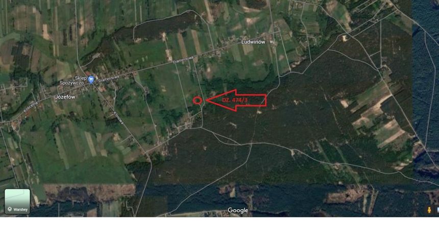 Duża, cicha działka w otulinie lasu - BEZ PROWIZJI miniaturka 5