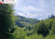 Rozległa działka przy lesie,  1 km od jeziora miniaturka 12