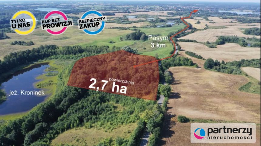 Pasym, 809 000 zł, 2.75 ha, droga dojazdowa asfaltowa miniaturka 2