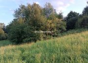 Duża nieruchomość w terenach rolnych. miniaturka 3