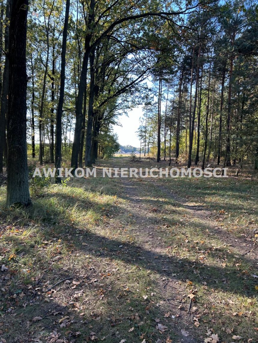 Wilczkowo, 225 450 zł, 30.06 ar, budowlana miniaturka 2