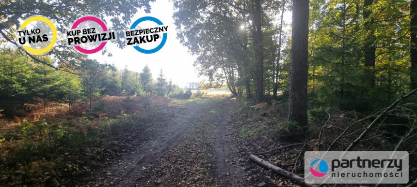 Bieszkowice, 480 000 zł, 2.69 ha, rolna miniaturka 13
