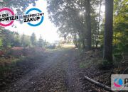 Bieszkowice, 480 000 zł, 2.69 ha, rolna miniaturka 13