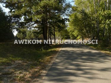 Przewodowice, 299 214 zł, 1.66 ha, droga dojazdowa asfaltowa