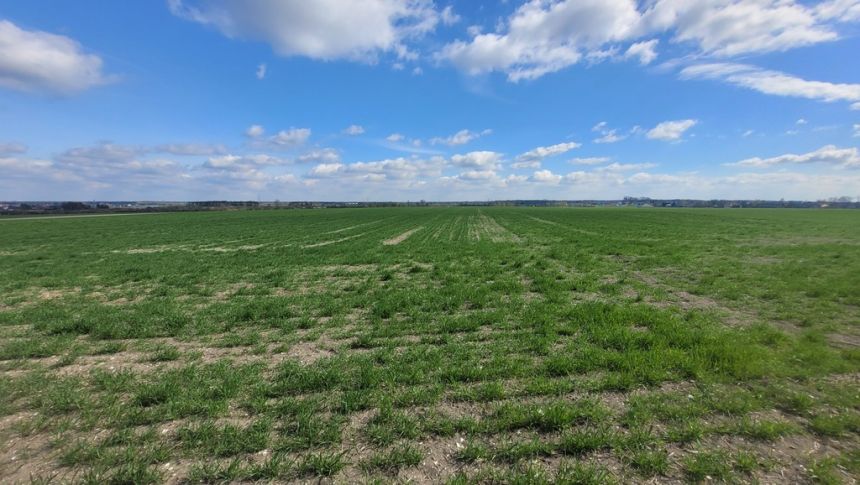 Sprzedaż 1,58 ha - budownictwo mieszkaniowe Opole miniaturka 2