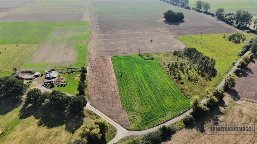 Działka budowlana około 20 minut od Bałtyku miniaturka 13