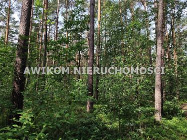Grabina Radziwiłłowska, 700 000 zł, 3 ha, budowlana