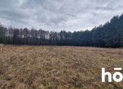 Działka 1,37 ha przy lesie | Zabudowa zagrodowa miniaturka 7