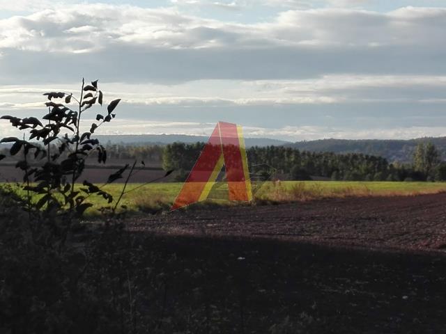 Zabierzów, 1 500 000 zł, 1 ha, budowlana miniaturka 11