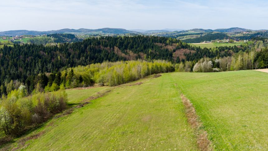 Działka rolno-budowlana Polichty! - zdjęcie 1