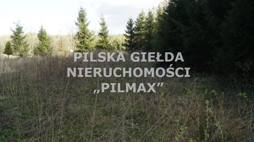 Płytnica, 135 000 zł, 21.39 ar, rekreacyjna miniaturka 2