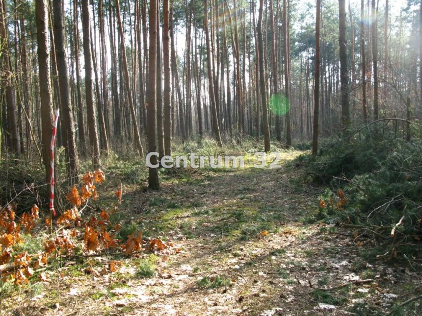 Siestrzeń, 2 000 000 zł, 1.15 ha, przyłącze wodociągu miniaturka 2