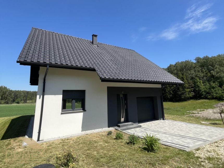 Dom do wykończenia-Rój miniaturka 7