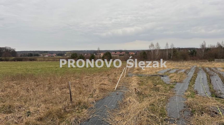 Działka 7000 m², Osolin k. Obornik Śląskich miniaturka 2