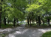 3-pokojowe mieszkanie na Mokotowie miniaturka 12