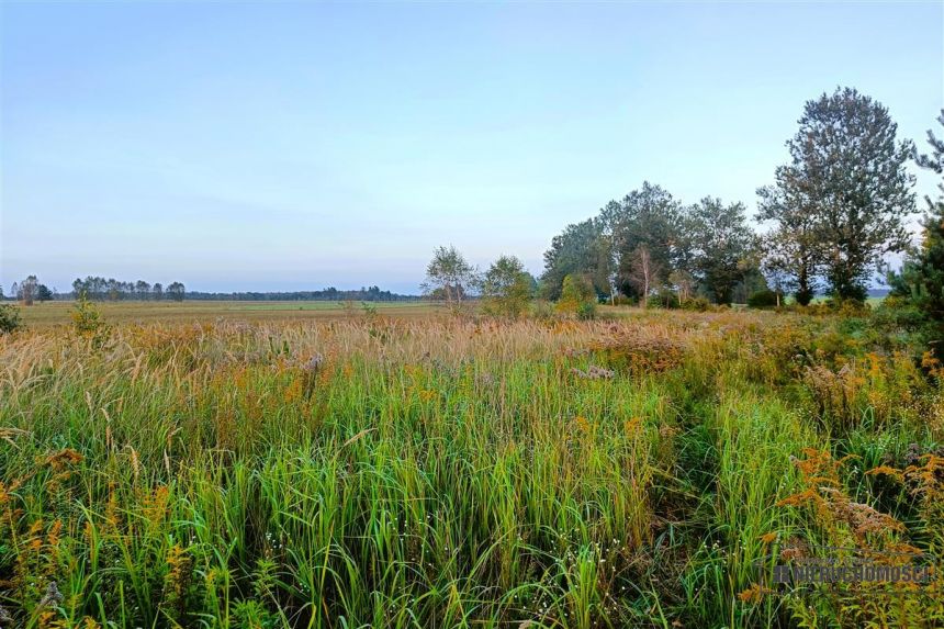 Działka letniskowa-budowlana nad jez. Wierzchowo. miniaturka 9