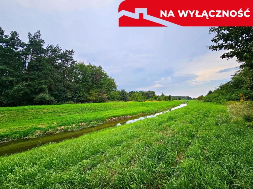 Łąki przy kanale - częściowo pod wydobycie torfu!! miniaturka 2