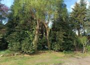 Grunt  na sprzedaż, Sierosław, , 530000.00 PLN miniaturka 3