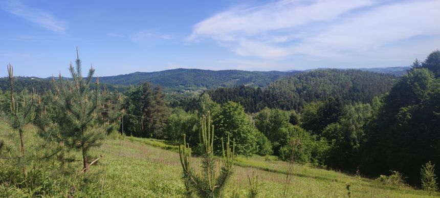 Działka budowlana- Tropie- Gródek nad Dunajcem miniaturka 4