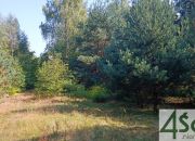 Zalesie, 6 431 040 zł, 3.57 ha, prostokątna miniaturka 4