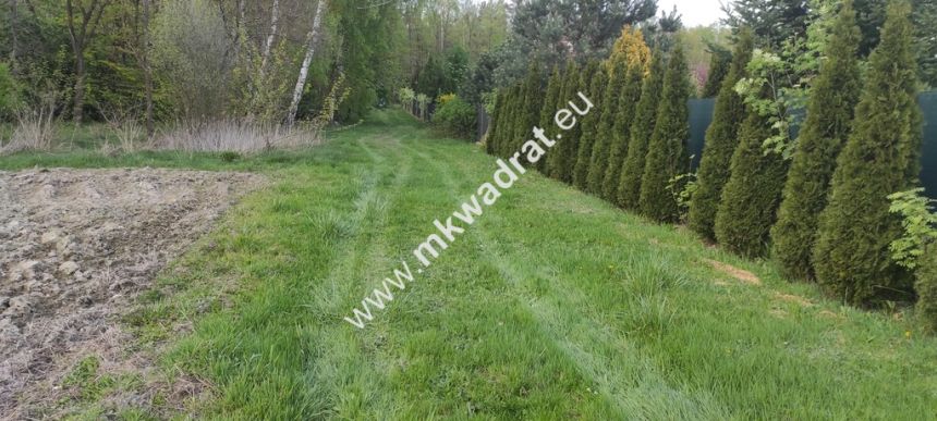 3416m2 Pasikonie k/Kampinosu z warunkami zabudowy! miniaturka 7