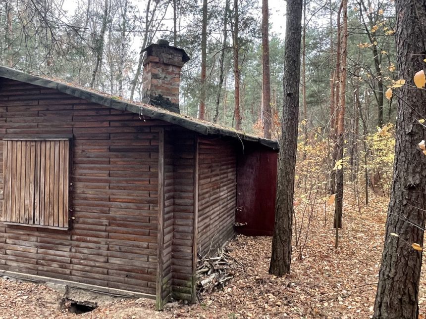 Działka letniskowa z domkiem las pod Radzyminem miniaturka 15