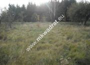 Budy-Grzybek, 3 444 000 zł, 4.05 ha, prostokątna miniaturka 4