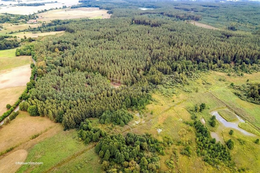 Działka leśna pod Pasymiem miniaturka 7