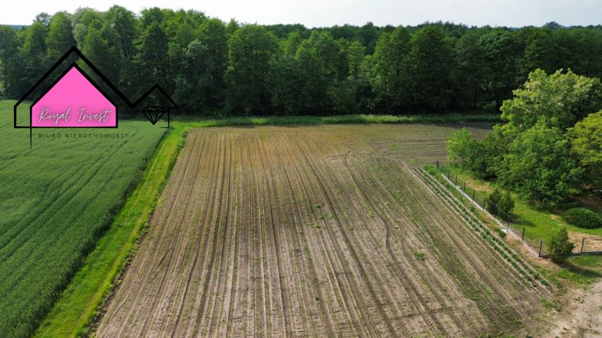 Dobrosołowo 99 000 zł 10 ar miniaturka 4