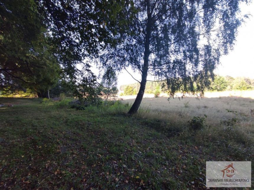 Siemczyno 275 000 zł 1.3 ha miniaturka 5