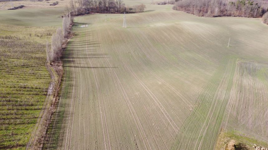 Działka przemysłowa w Swarożynie przy autostradzie A1. miniaturka 3