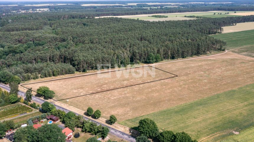 Radzewice, 829 000 zł, 94.3 ar, bez nasadzeń miniaturka 2