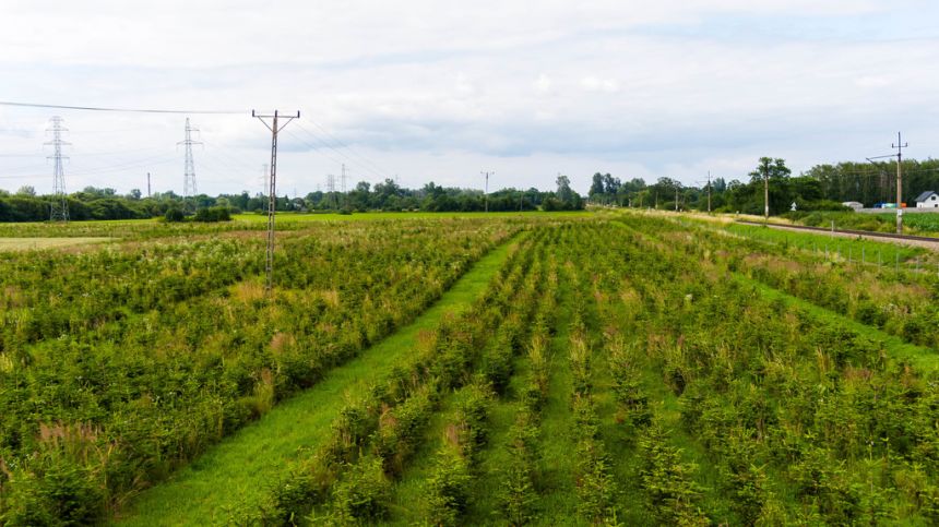 Działka inwestycyjna - wysoki  i szybki zysk miniaturka 8