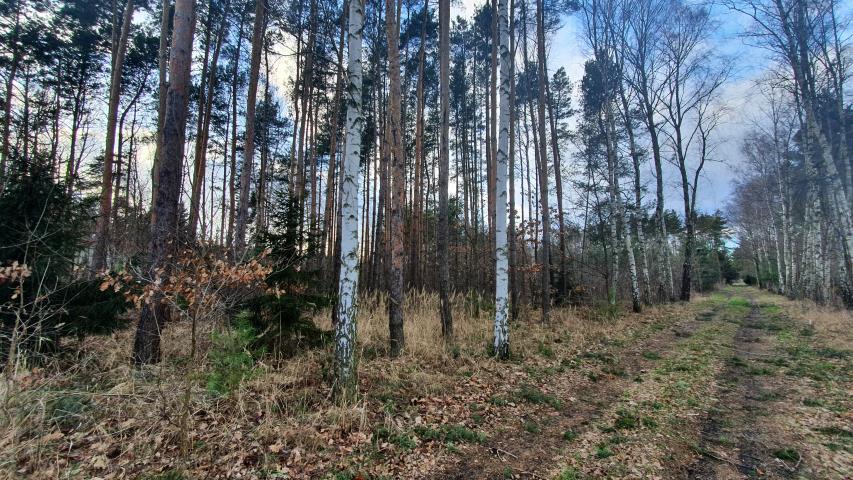 Ekskluzywna działka w centrum Wiązowny miniaturka 12