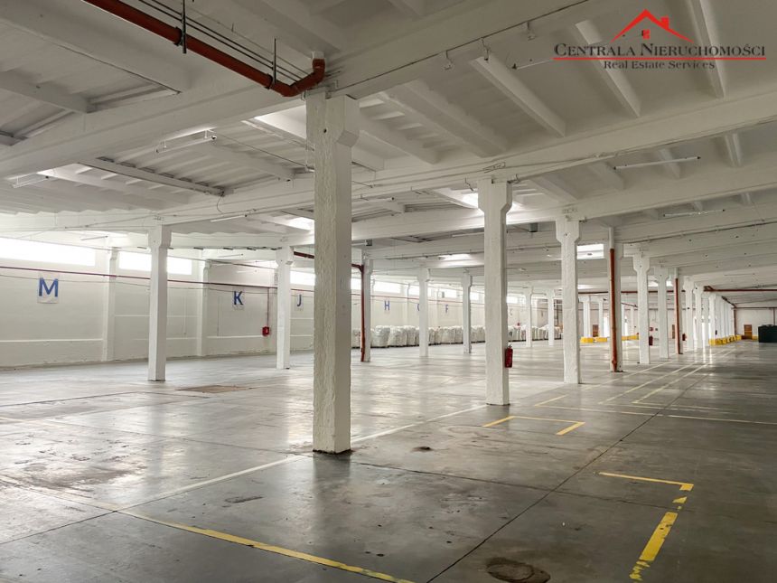 Hale 5800 m2 / 4000 m2/ 1800 m2/ biura/ Toruń miniaturka 2