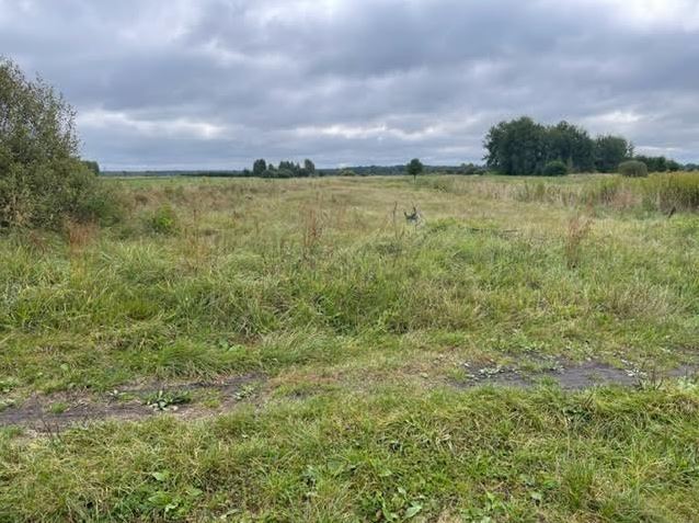 Działka rolna o powierzchni 6000 m2. - zdjęcie 1