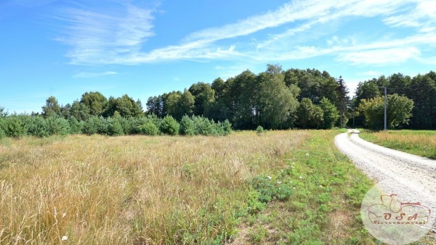 3271 m² pod lasem możliwość podziału Siedleczek - zdjęcie 1