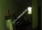 Duży potencjał, niska cena miniaturka 12