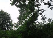 Duży potencjał, niska cena miniaturka 7
