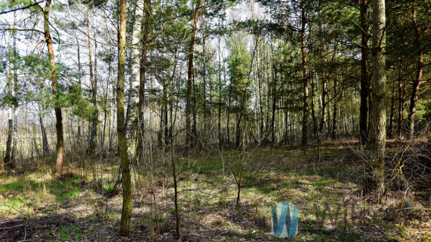 Ludwinów, 93 375 zł, 12.45 ar, droga dojazdowa gruntowa miniaturka 4