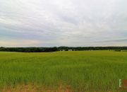 Filipów, 150 000 zł, 11.55 ar, prostokątna miniaturka 2