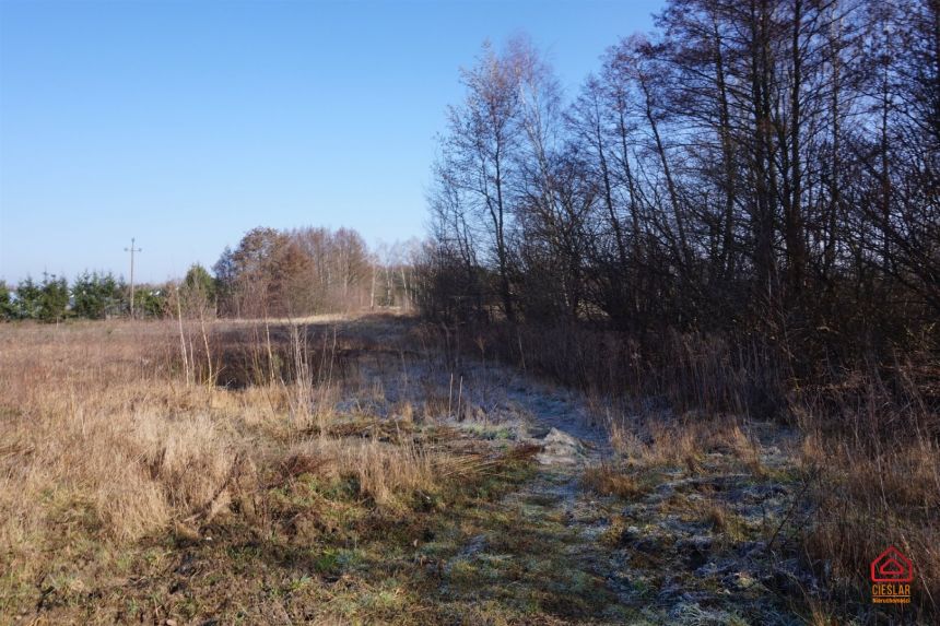 Niemcz, 1 950 000 zł, 70.37 ar, budowlana miniaturka 6