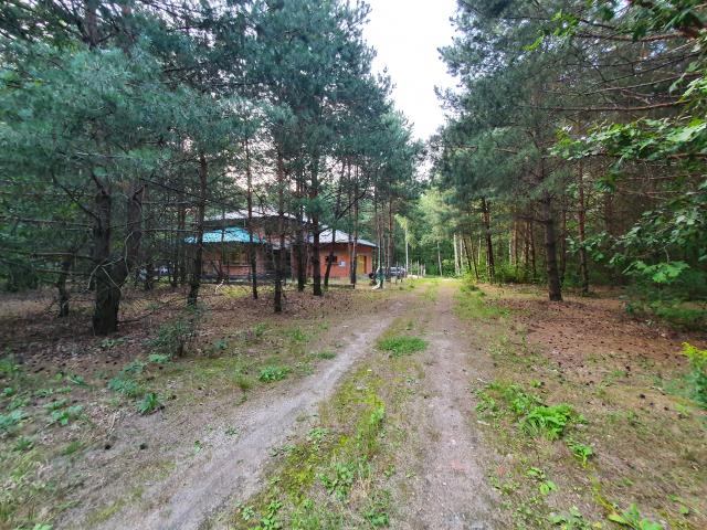 Blisko ul. Kąckiej, z prywatnym lasem. - zdjęcie 1