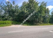 Działka budowlana 6577 m2 Radonie z MPZP miniaturka 12