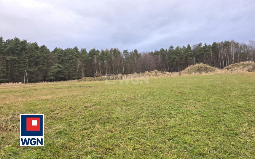 Tychy, 2 997 000 zł, 200 m2, jednorodzinny miniaturka 7
