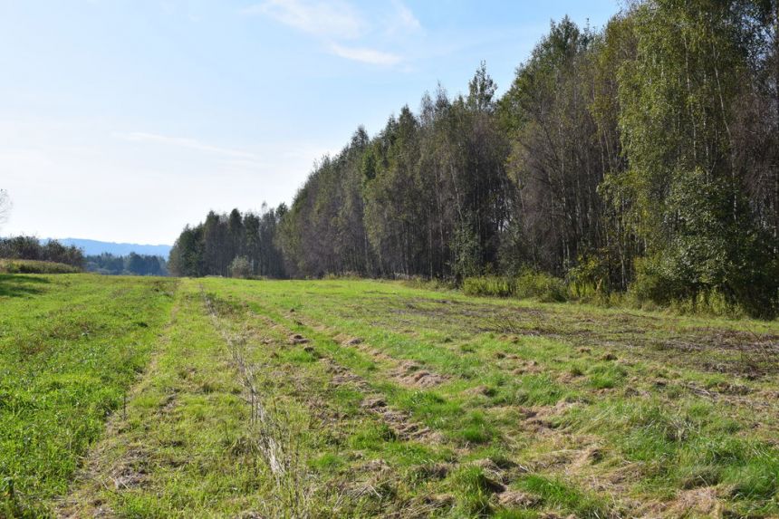 Działki budowlane 7.5a-7.98a - Bratkowice miniaturka 7