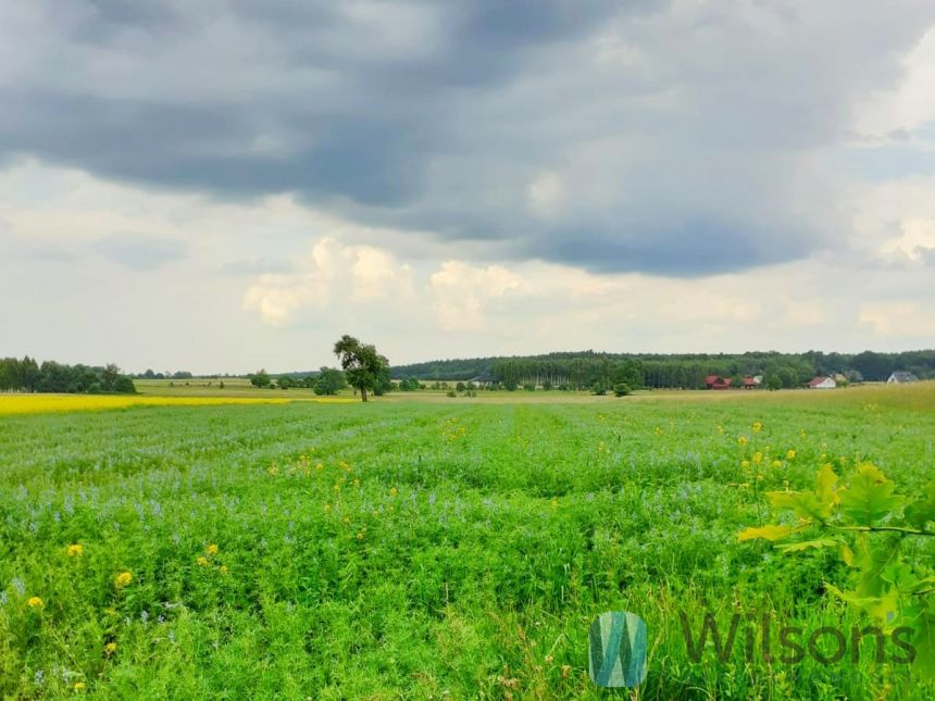 Jaśce, 455 000 zł, 1.94 ha, inwestycyjna miniaturka 6