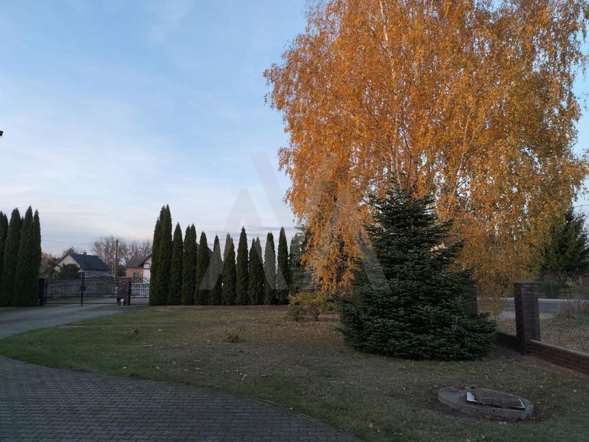 Dom 250m 2,5 km do PKP Grodzisk miniaturka 5