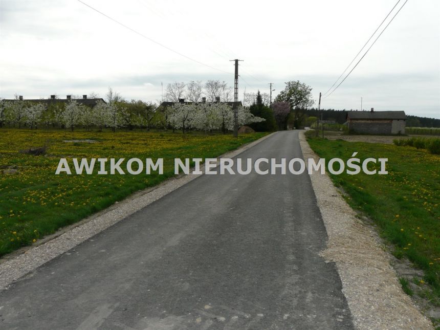 Wycinka Wolska, 124 020 zł, 1.03 ha, rolna miniaturka 4
